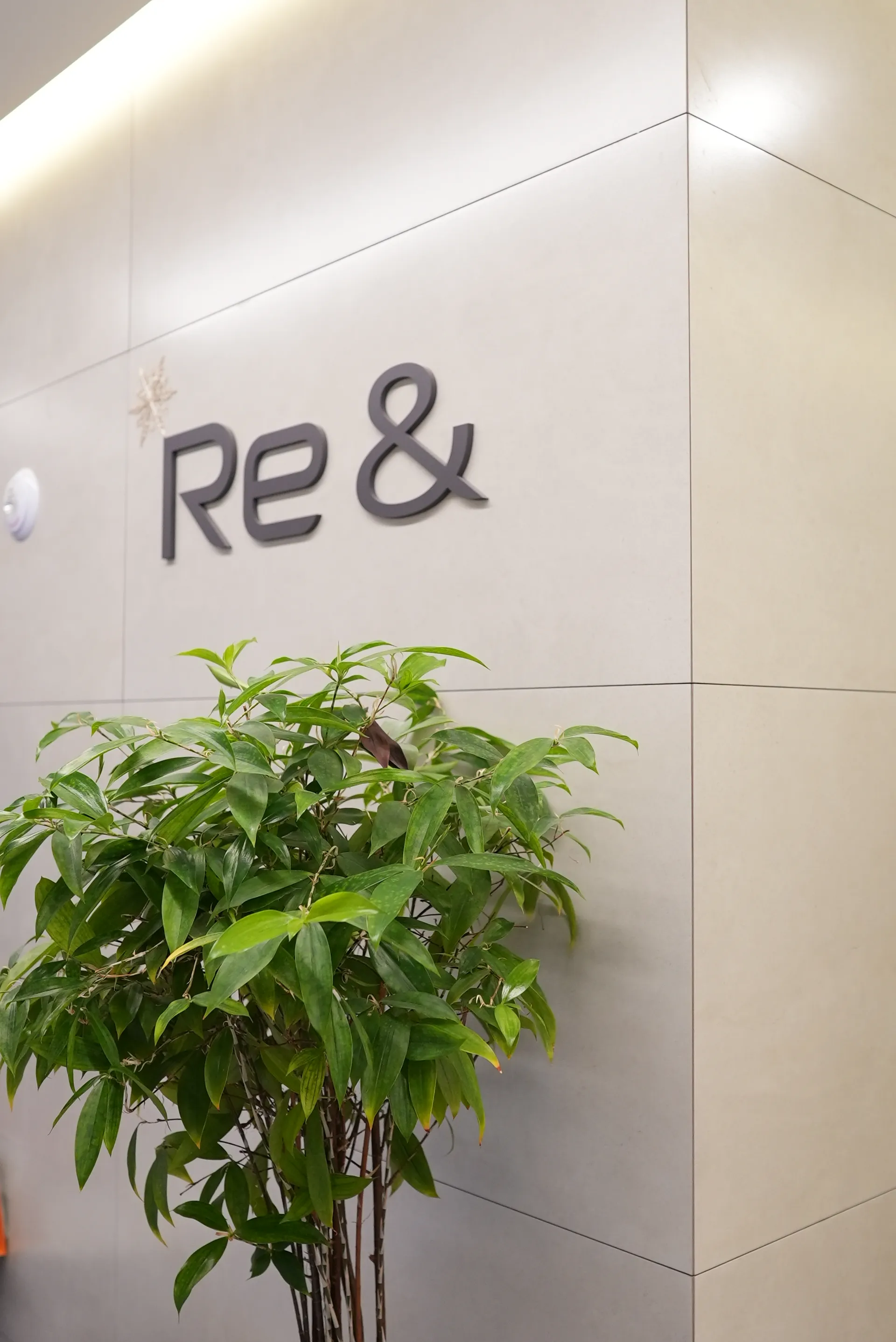 Re & Aesthetic Skincare