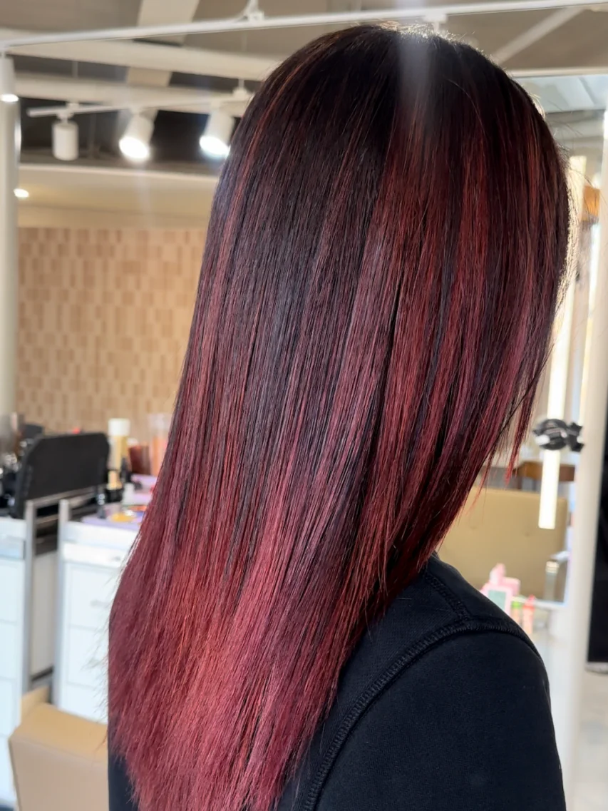 Hair Color (Damaged Hair) 1