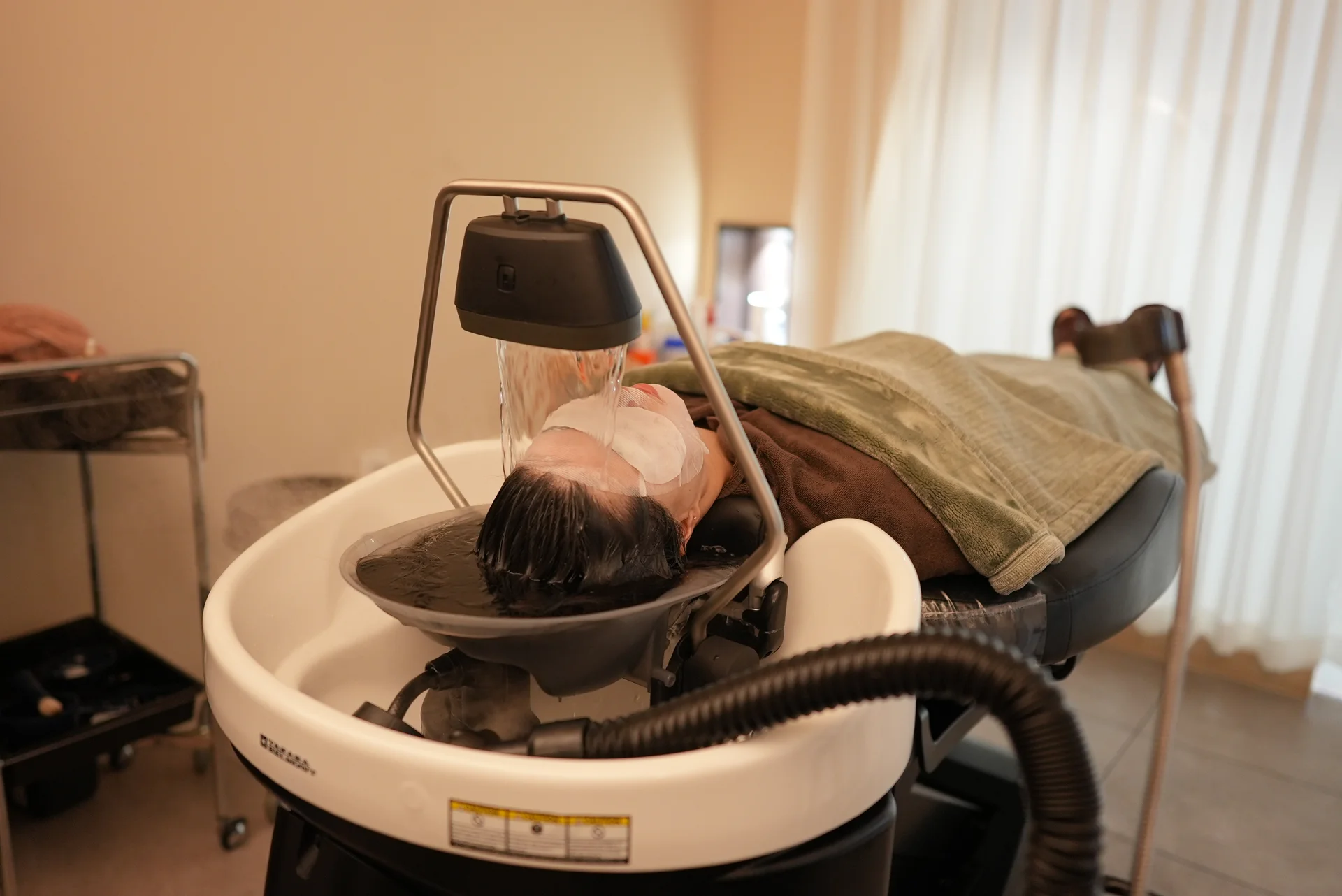 9-Step Shiseido Hair Treatment 1