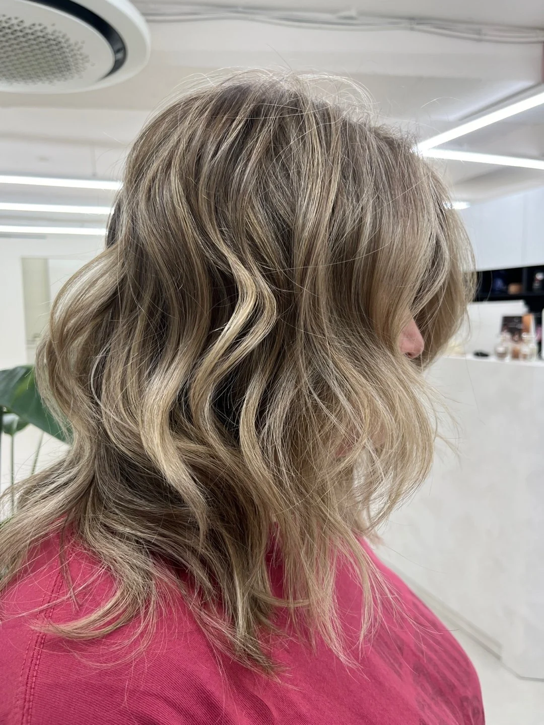 Half Head of Foils 3