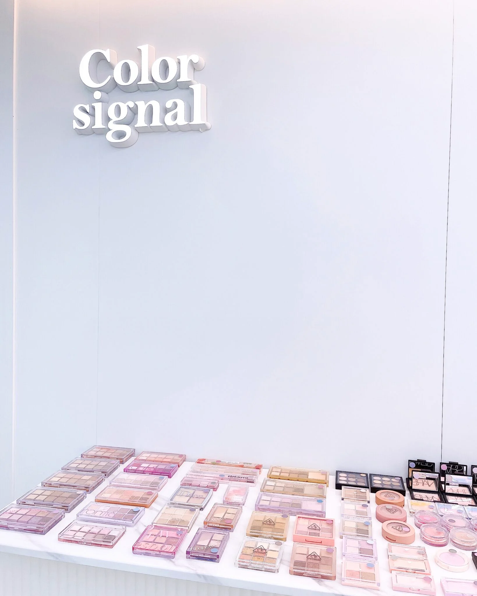 Personal Color Consulting + Makeup + Profile Photo Shoot 5