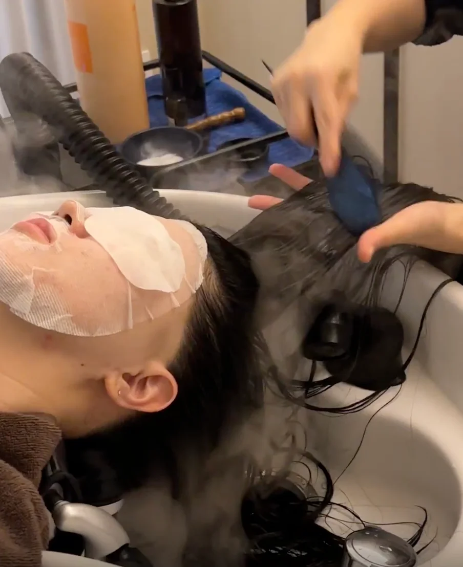 5-Step Shiseido Hair Treatment 2