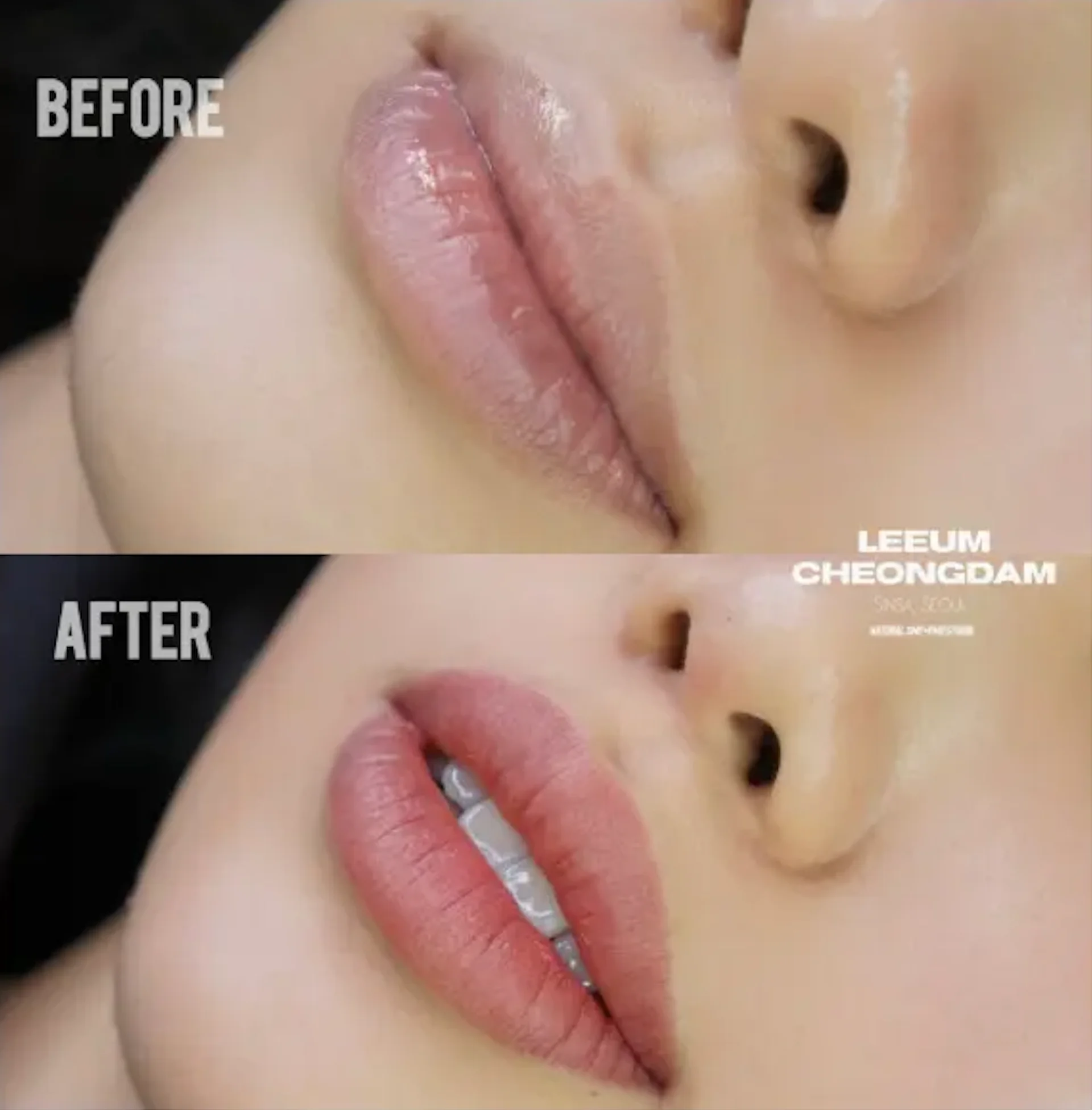 Lip Blush Tattoo (Velvet or Tint Style) 2