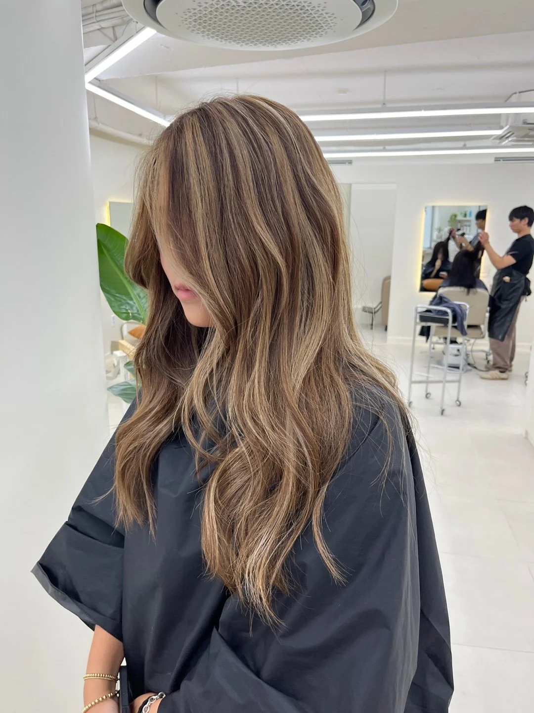 Half Head of Foils 1