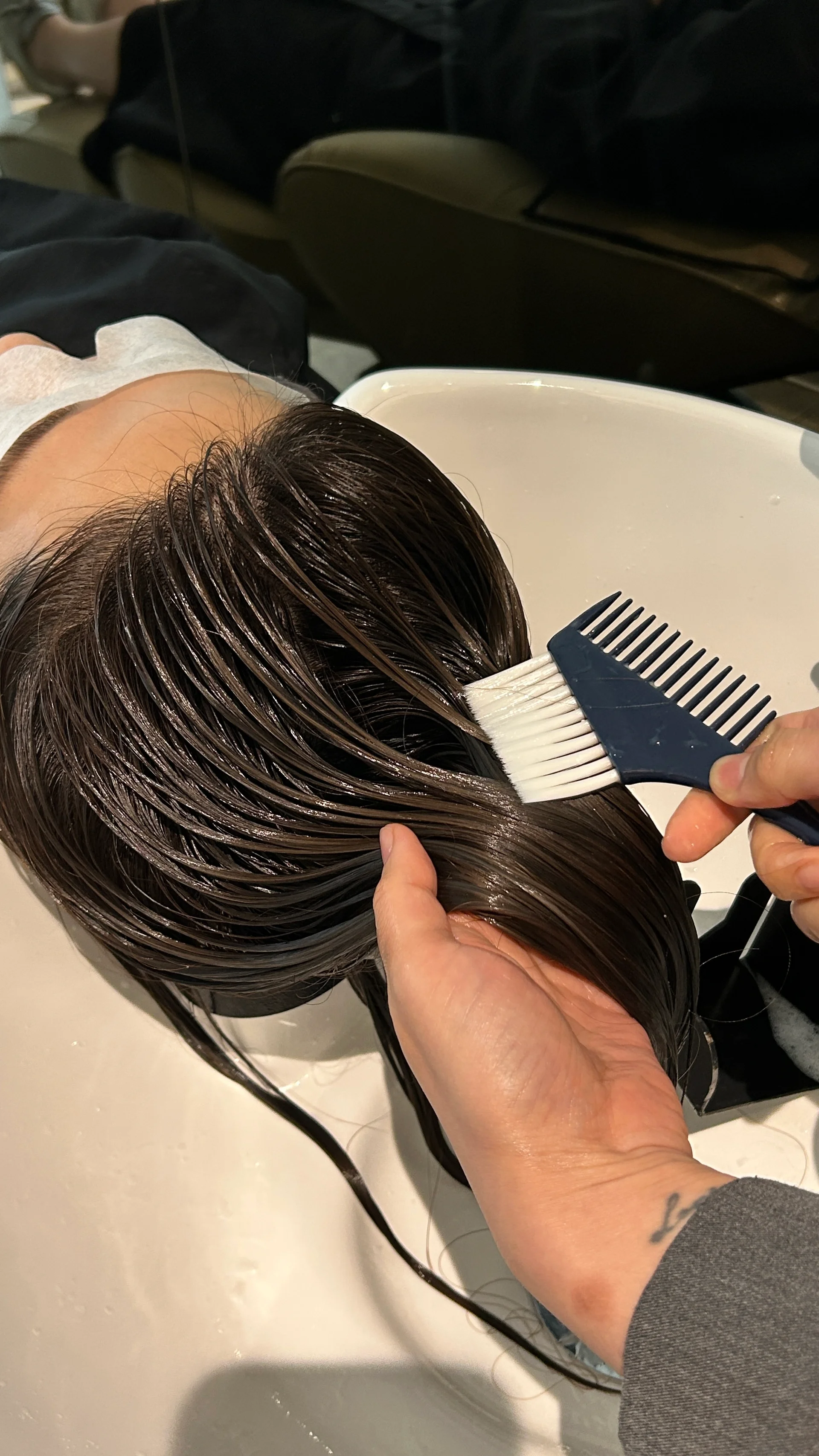 Shiseido Hair Care 2