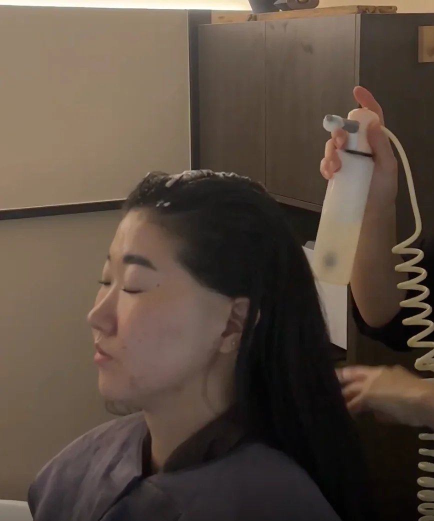 5-Step Shiseido Hair Treatment 3
