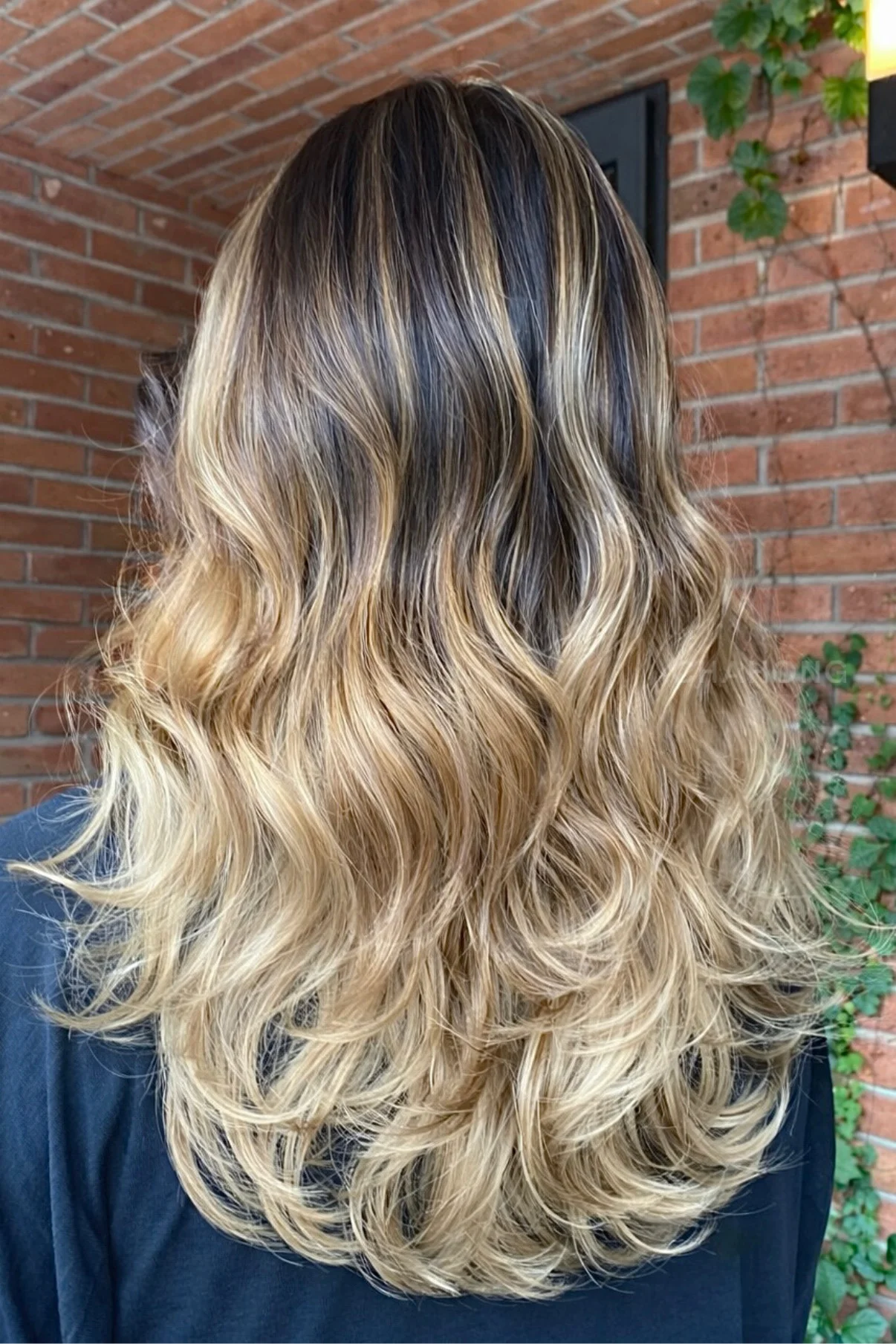 Hair Highlights 4